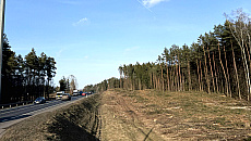 DK16 będzie szersza i szybsza. Czy ekrany ochronią mieszkańców przed hałasem? DK16 będzie szersza i szybsza. Czy ekrany ochronią mieszkańców przed hałasem?